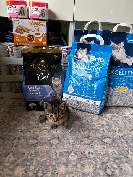 Kouzelná Elvíra z.s.